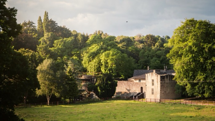 Benburb Castle tower seen across a green meadow among the trees