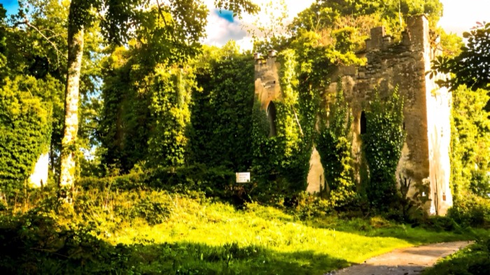 The ivy-covered ruins of Castle Caldwell among the trees