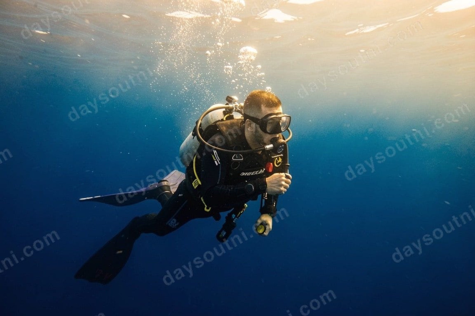Aquaholics Dive Centre & Sea Safari