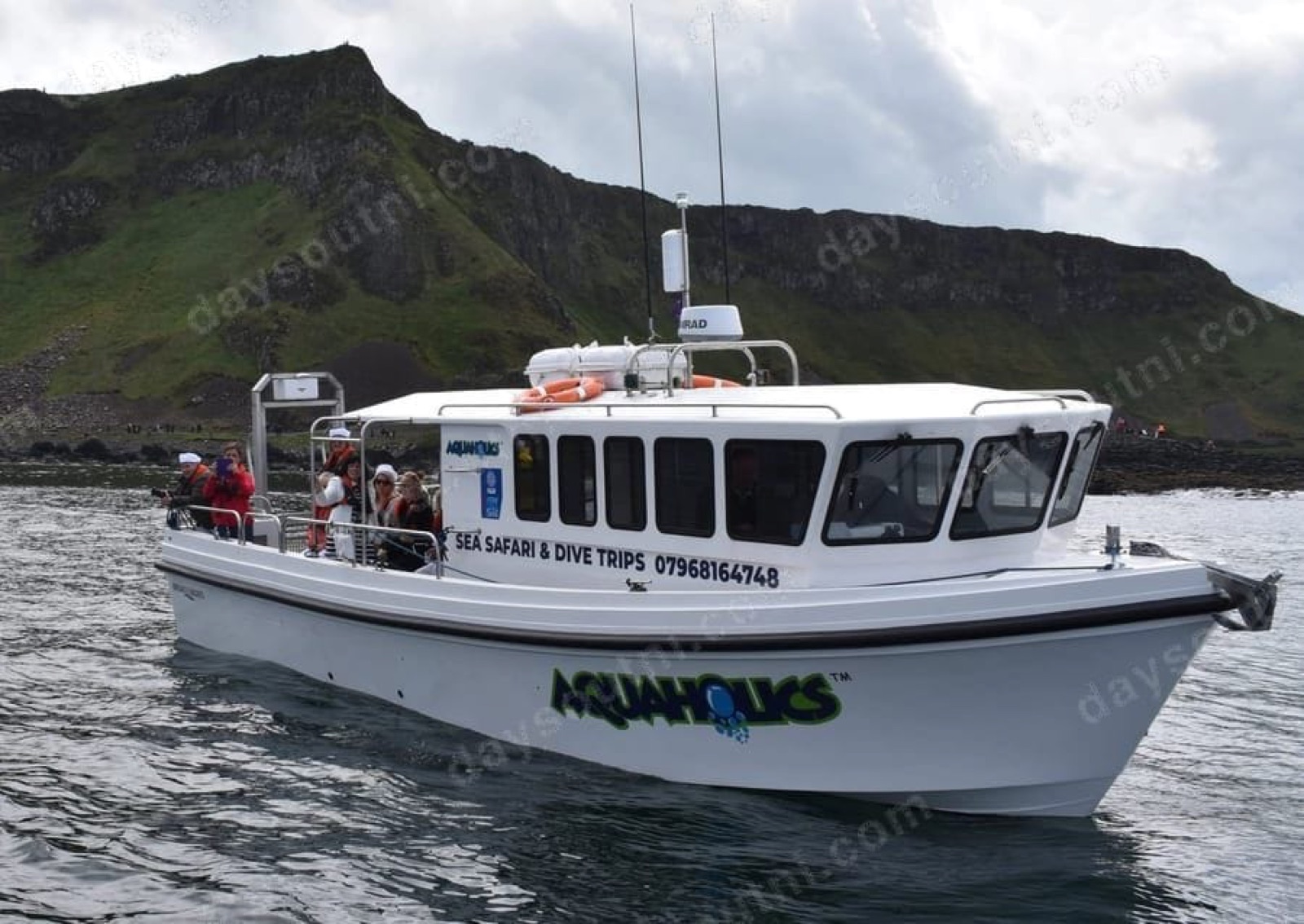 Aquaholics Sea Safari