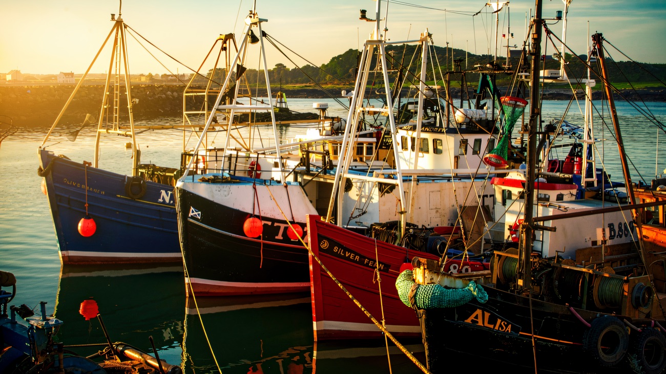 The fishing fleet at rest in the golden evening light