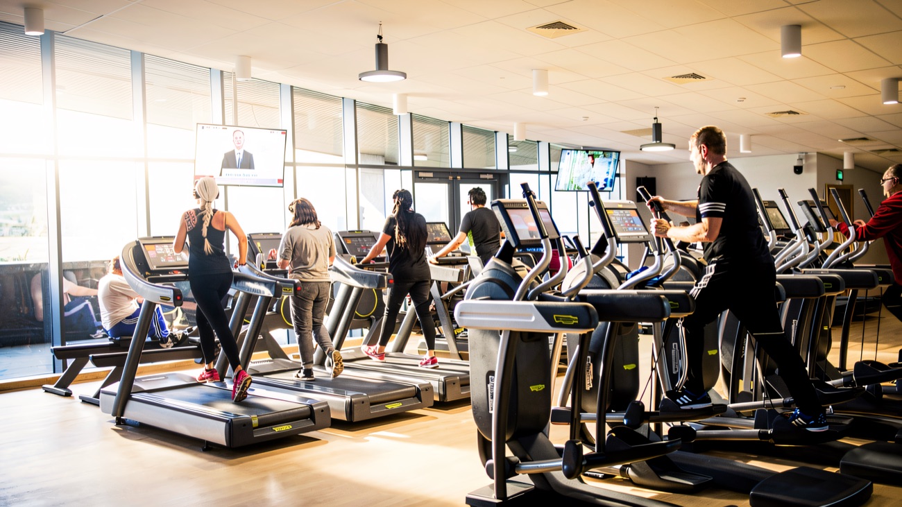 Cardio machines lined up along the window wall