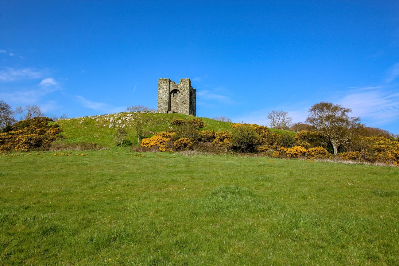 Audley's Castle tower house standing on its grassy hill under a blue sky, gorse in bloom below