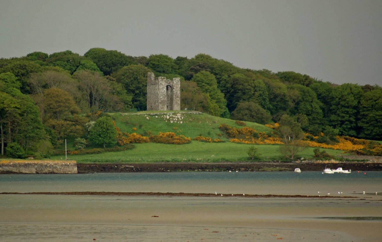 Audley's Castle above the shoreline of Strangford Lough with gorse and boats on the water