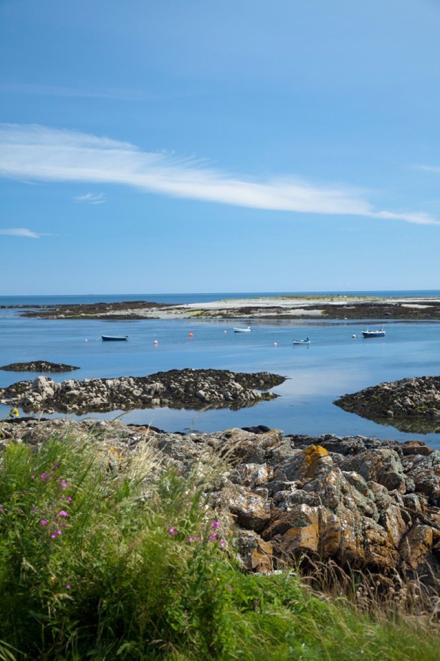 Small boats moored among the rocks and shallow water off Ballyhornan, wildflowers in the foreground on a clear summer day