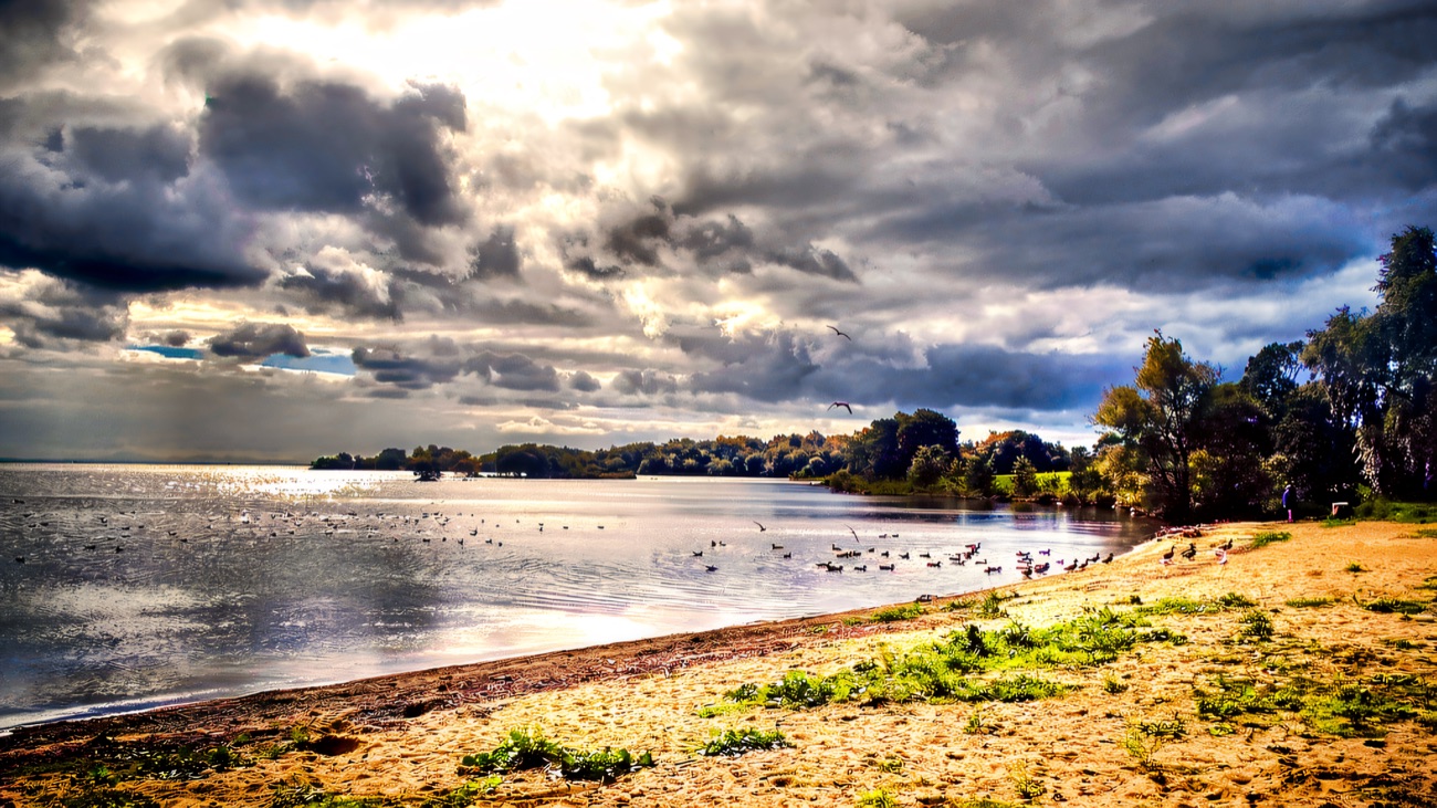 The sandy beach and waterbirds along the Lough Neagh shore under a big sky.