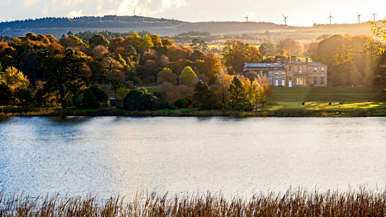 A Baronscourt lake fringed with reeds, autumn woodland and the estate on the rise beyond