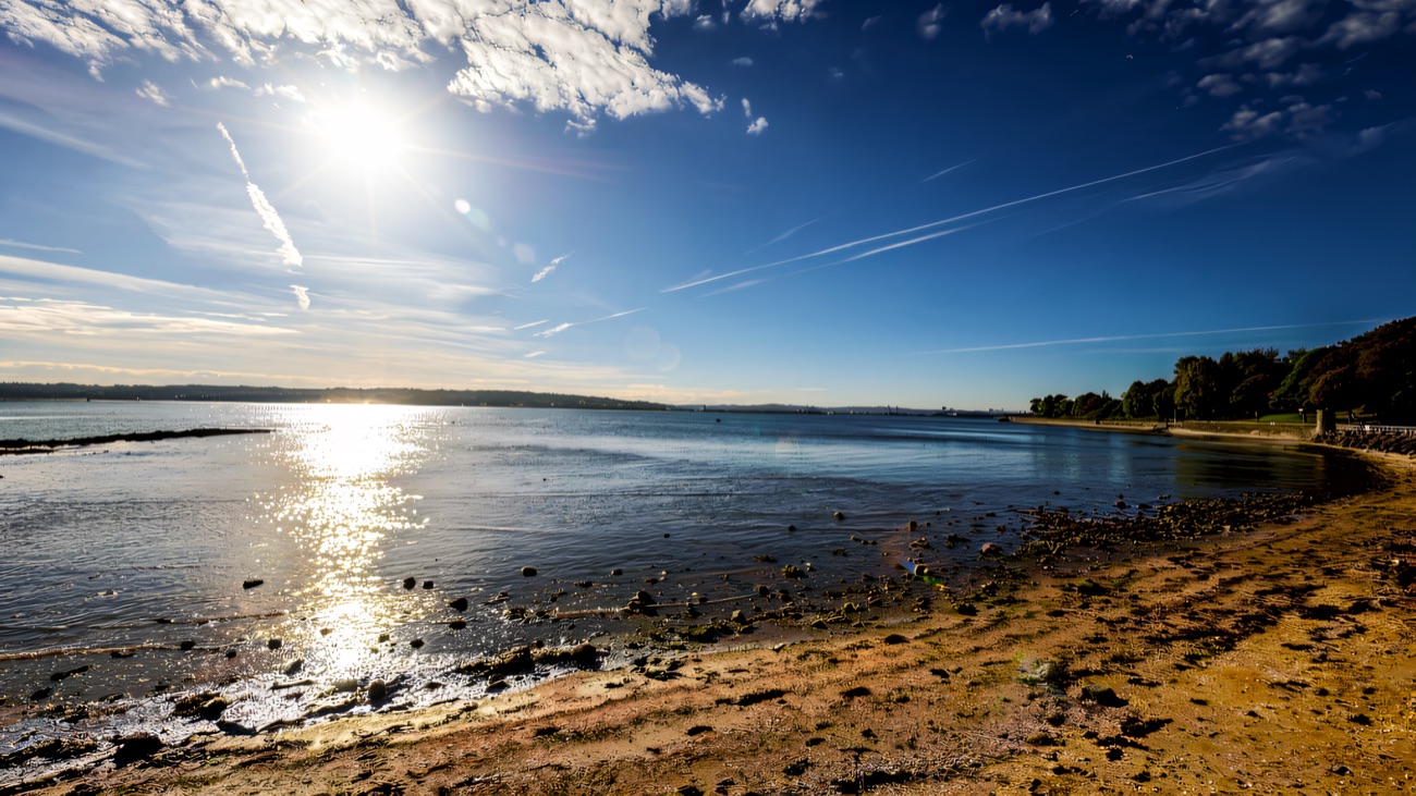 Sunlight glints across the calm water of Belfast Lough