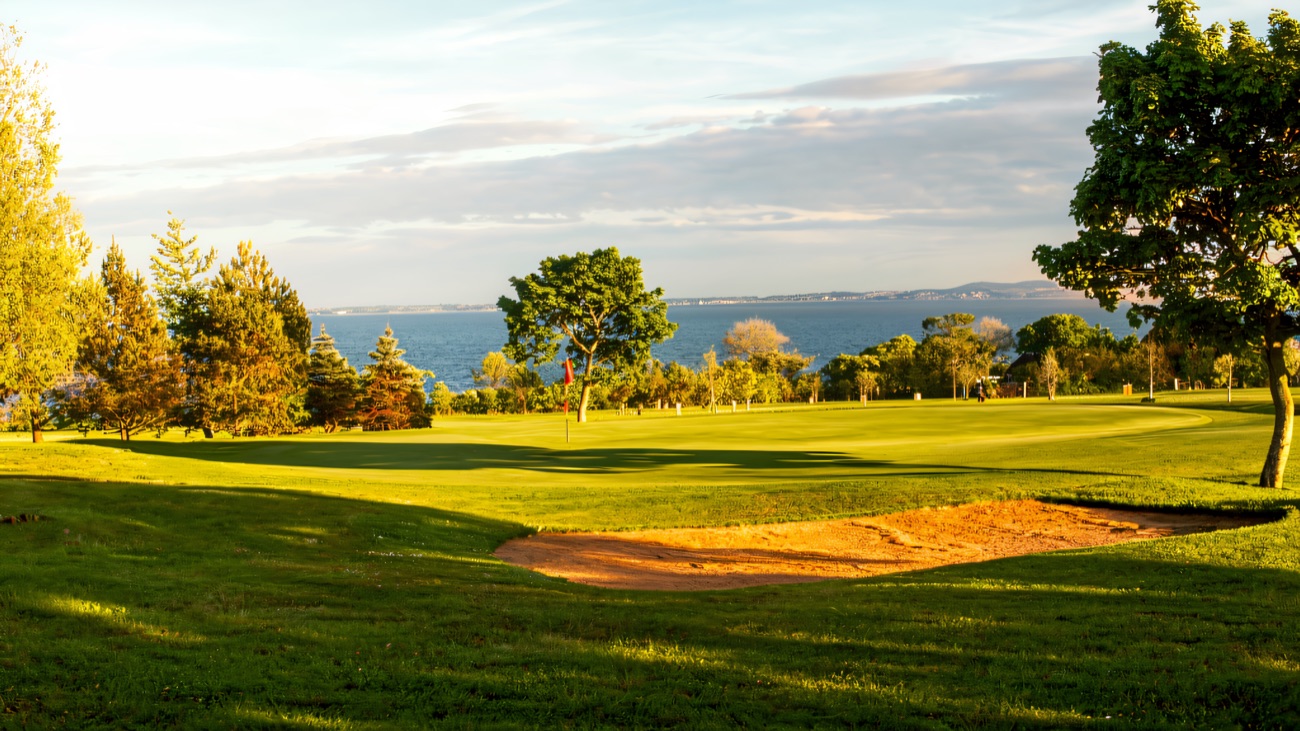 A green above Belfast Lough, the sea sparkling beyond the trees