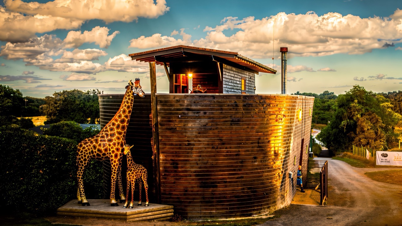 The giant wooden ark building with giraffe figures at the entrance to The Ark Open Farm