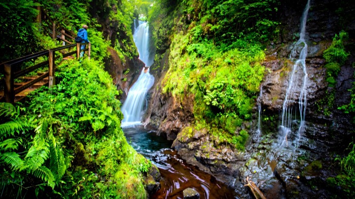 A waterfall dropping through the green gorge on the Glenariff Waterfall Walkway