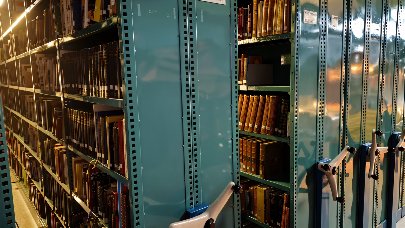 Rows of bound volumes and older books along the shelving.