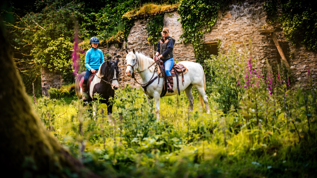 Riders walking their horses past an ivy-covered stone ruin on the estate