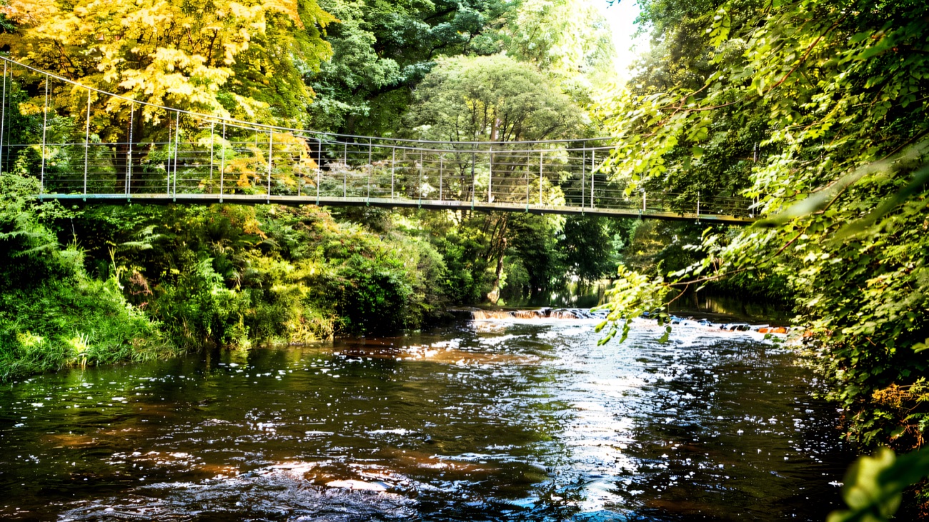 A slender metal suspension footbridge crossing the tree-lined Colebrooke River in summer