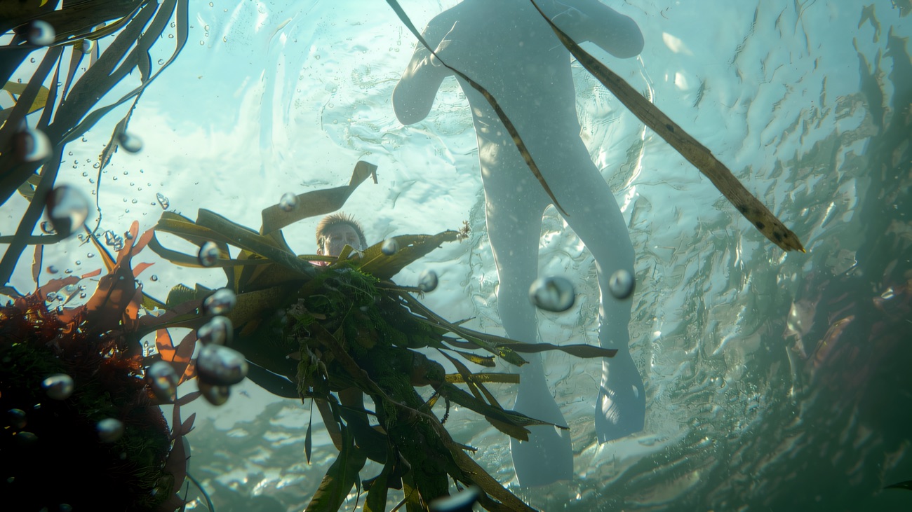 Looking up through a kelp forest at a diver silhouetted against the light