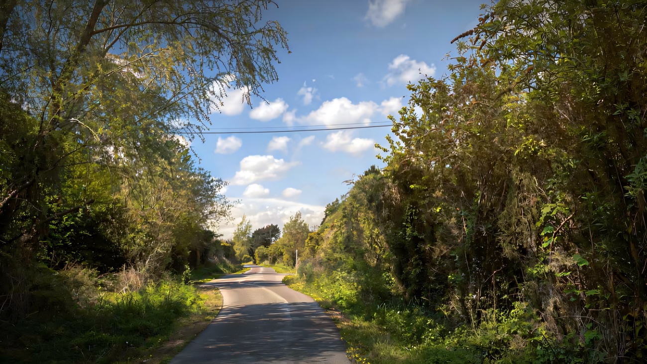 The greenway runs straight and green under a bright blue sky