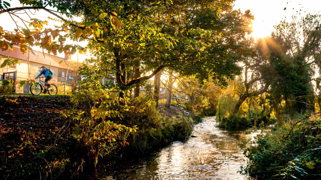 A cyclist follows the river path through golden autumn light