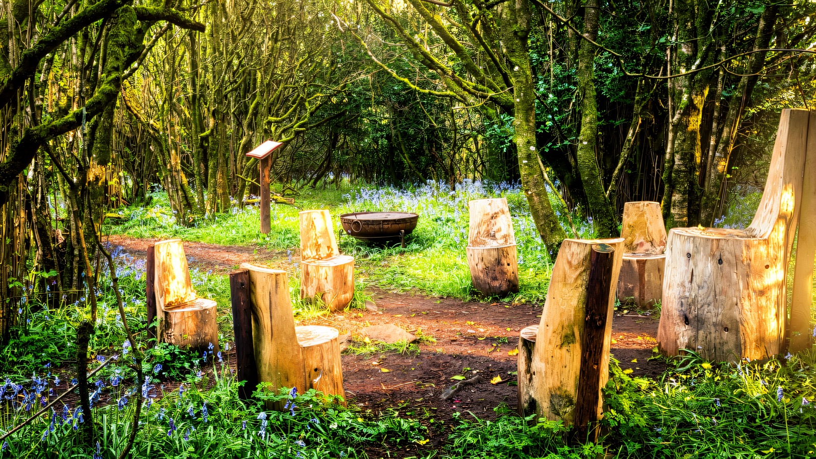 Cottage Wood Nature Reserve