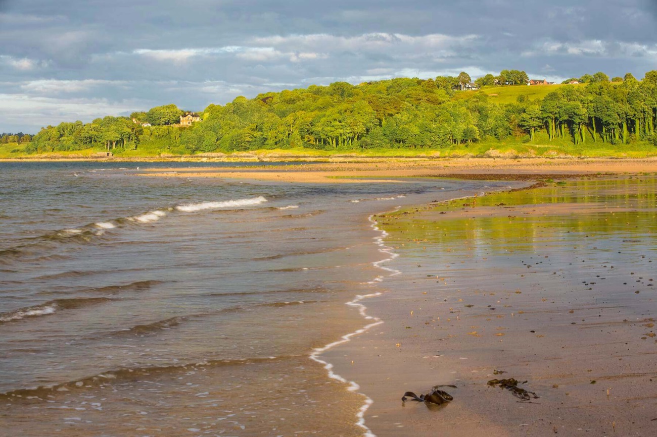 A wide sandy beach at Crawfordsburn in warm evening light, curving round a wooded shoreline over Belfast Lough