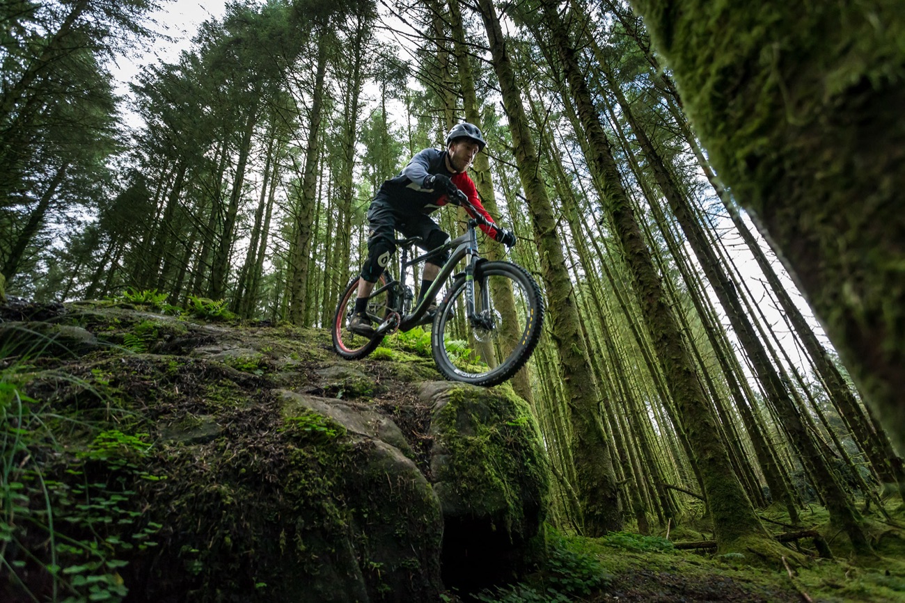 A mountain biker drops over a rock slab on a trail through the pine forest at Davagh.