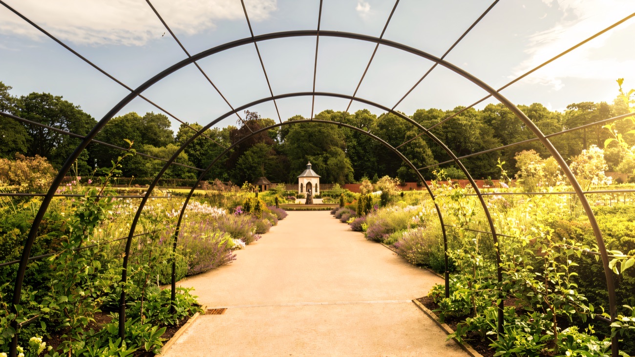 A long iron pergola arching over the path through the walled garden at Hillsborough Castle