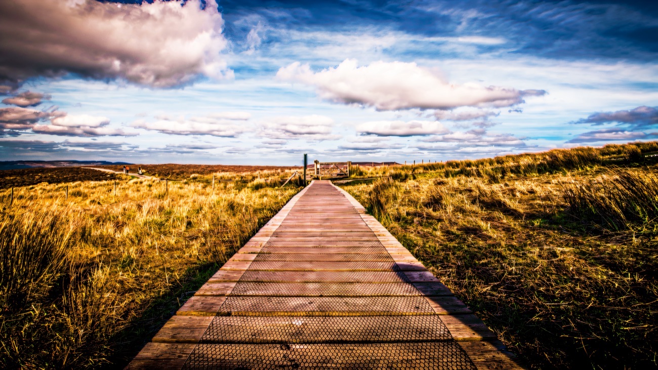 The timber Cuilcagh boardwalk running dead straight across golden blanket bog under a big sky