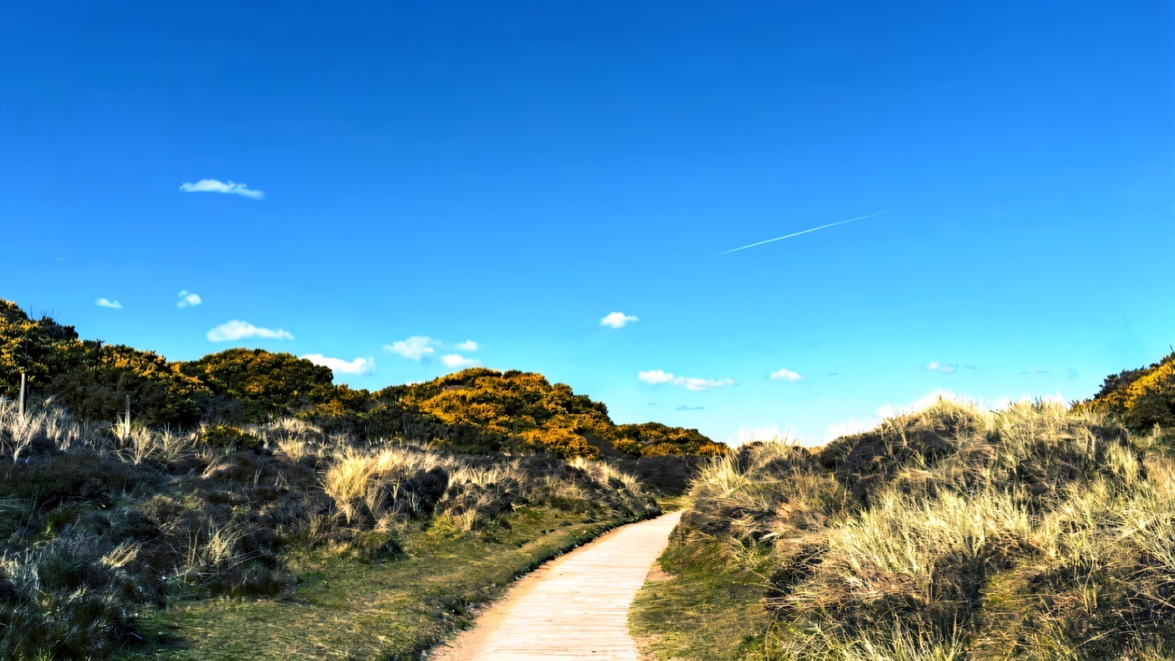 A boardwalk path winding through the grassy dunes at Murlough under a bright blue sky