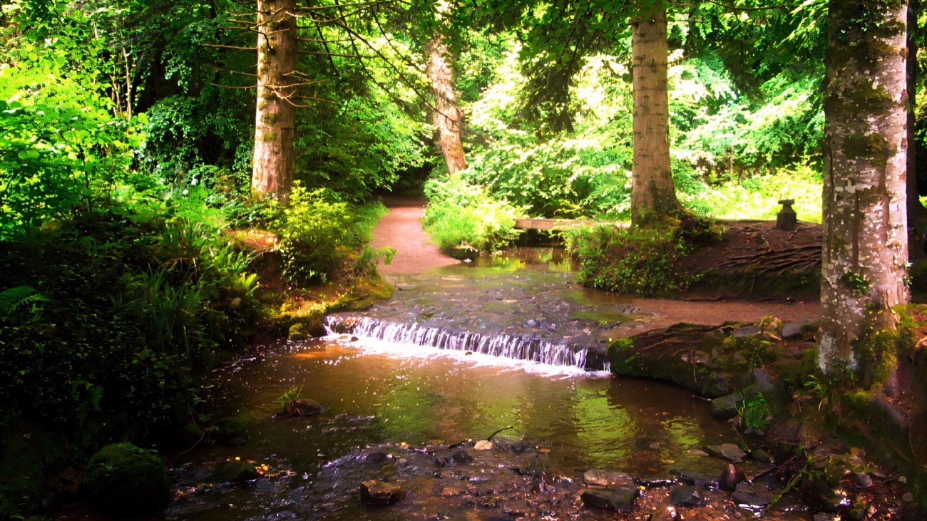 A small waterfall on the forest stream beside a woodland trail at Florence Court