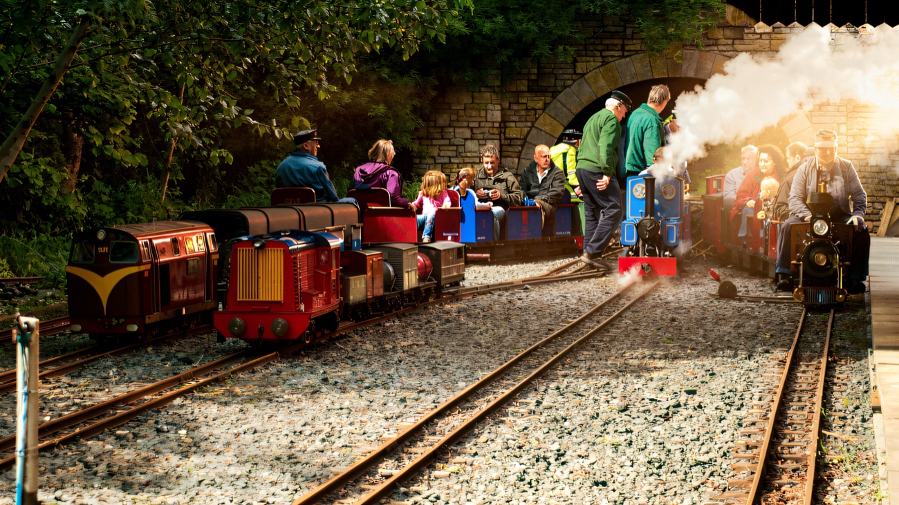 Trains gathered at the junction on a busy running day.