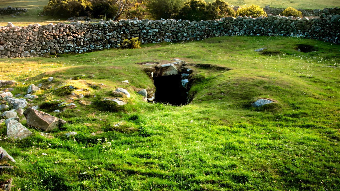 The entrance to the underground souterrain set within the grassy enclosure, gorse in flower behind.