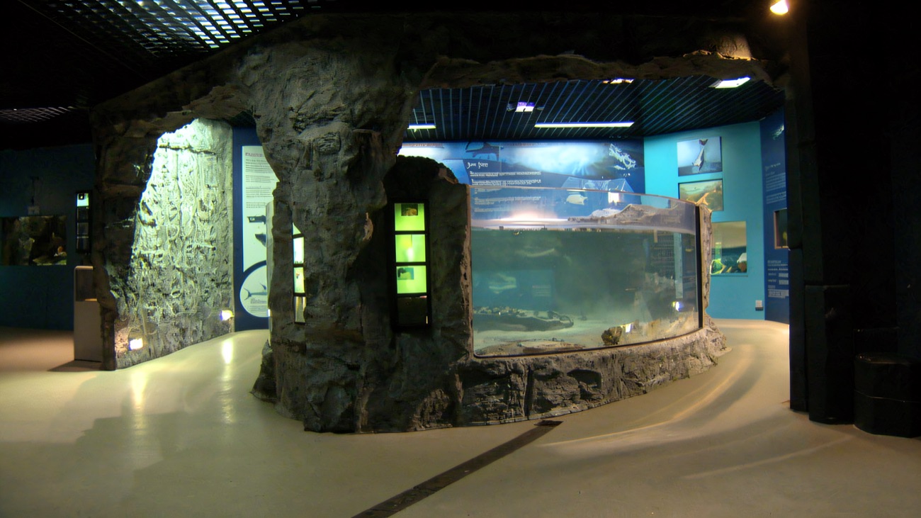 A large curved viewing tank set into a rocky exhibit inside the aquarium