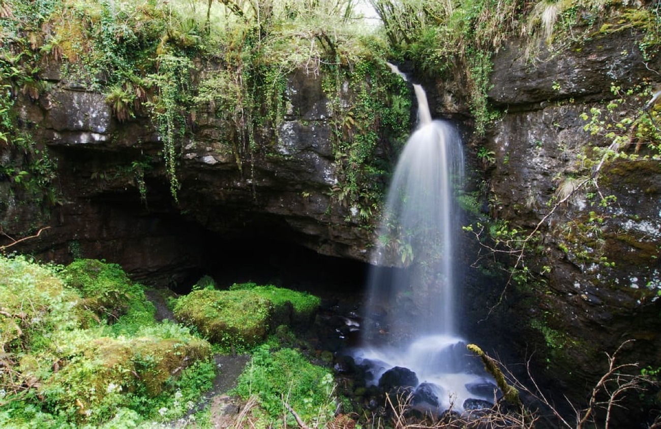 The wide cave entrance and waterfall at Pollnagollum framed by green ferns and rock