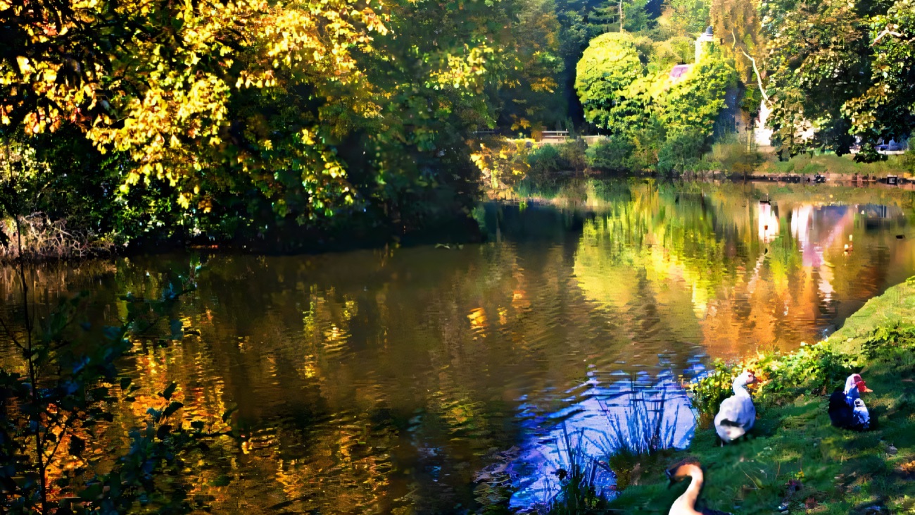 The demesne lake at Gosford in autumn colour with geese on the grassy bank and trees reflected in the still water
