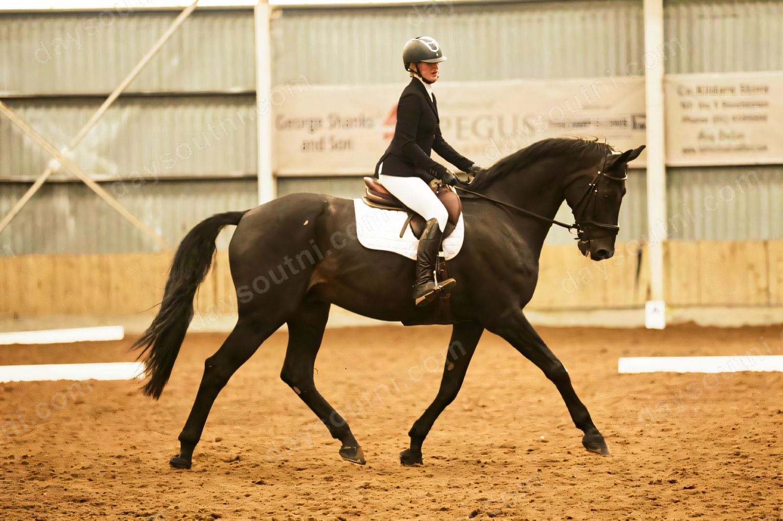 Gransha Equestrian Centre