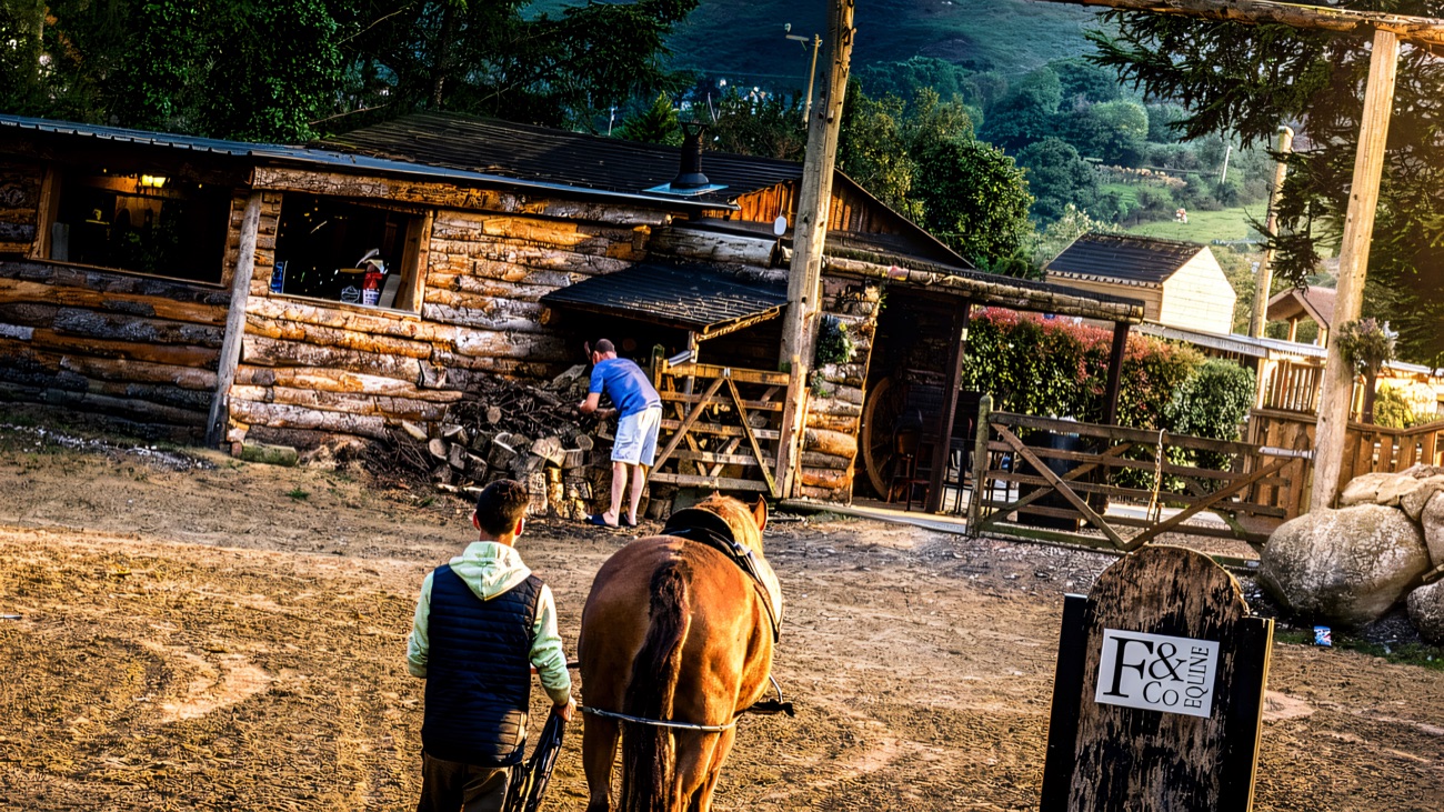 A horse led back across the sand arena towards timber stable buildings, with the mountain rising behind