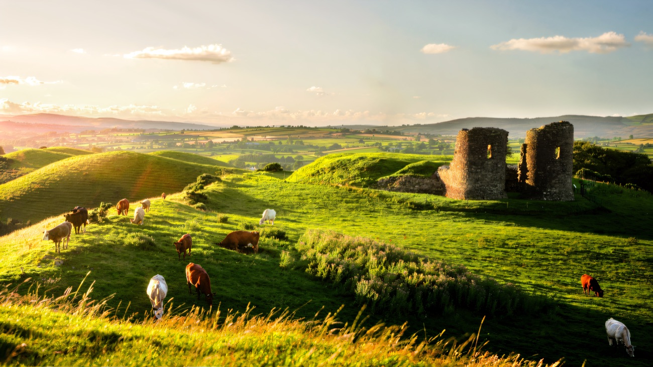The hilltop stronghold set in vivid green pasture, a rare Gaelic-built castle