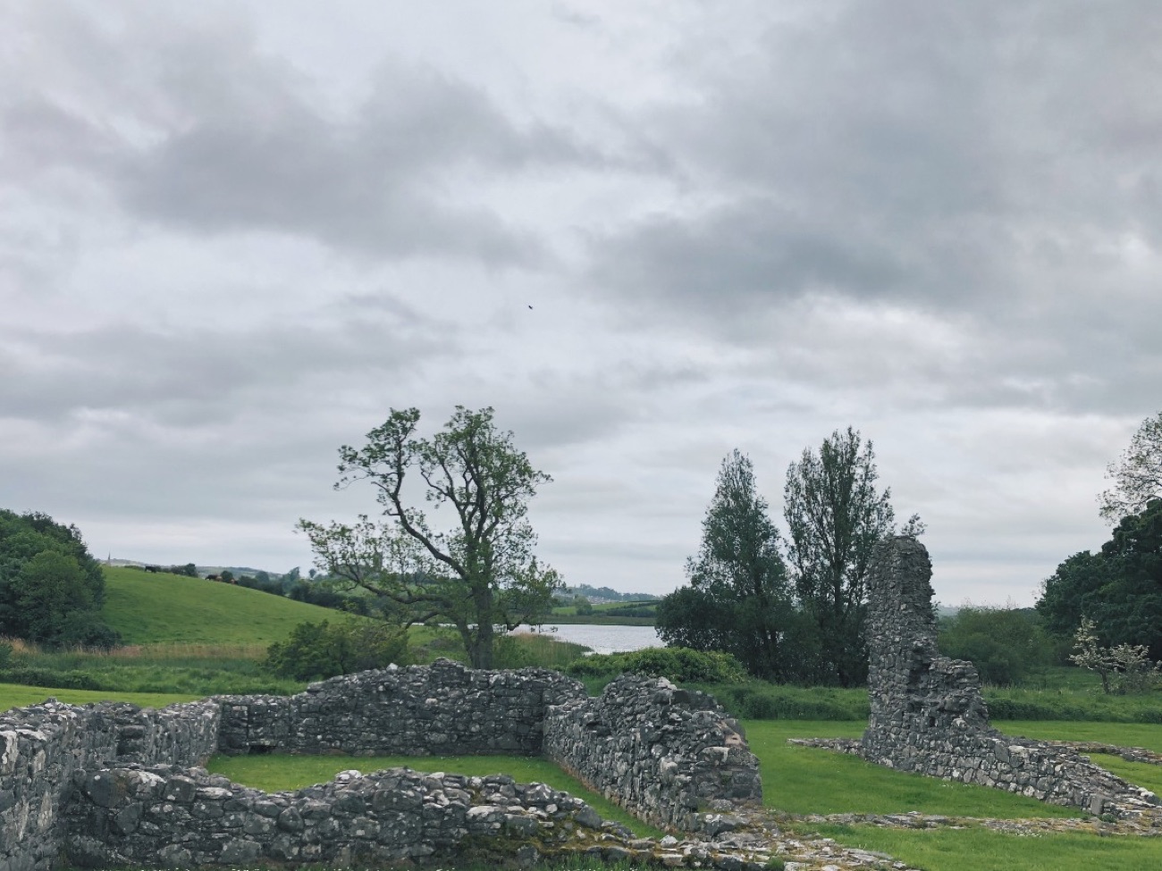 Inch Abbey's low ruined walls with the River Quoile and green hills stretching out behind