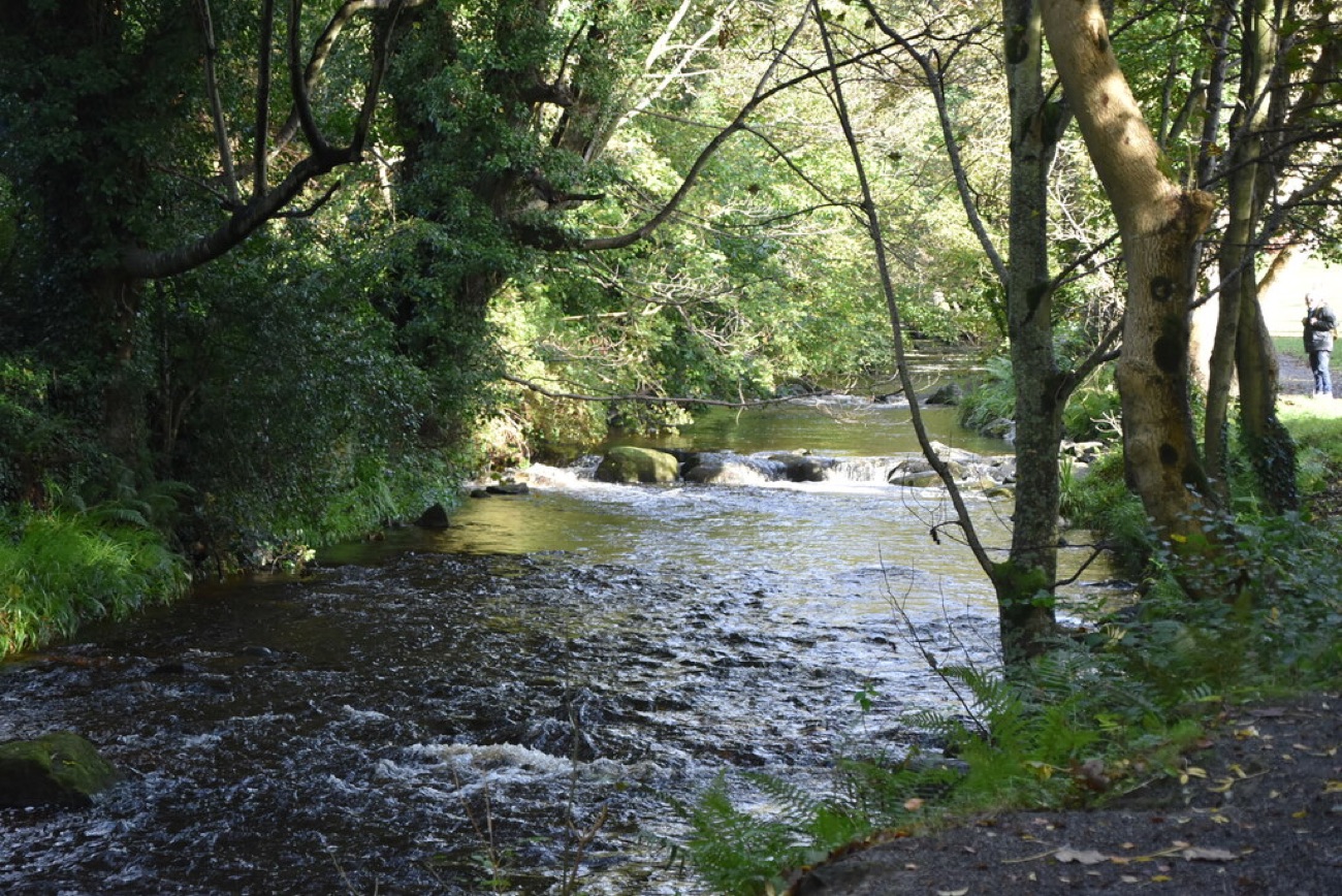 The Kilbroney river running over rapids through leafy woodland on the Fairy Glen walk at Rostrevor.
