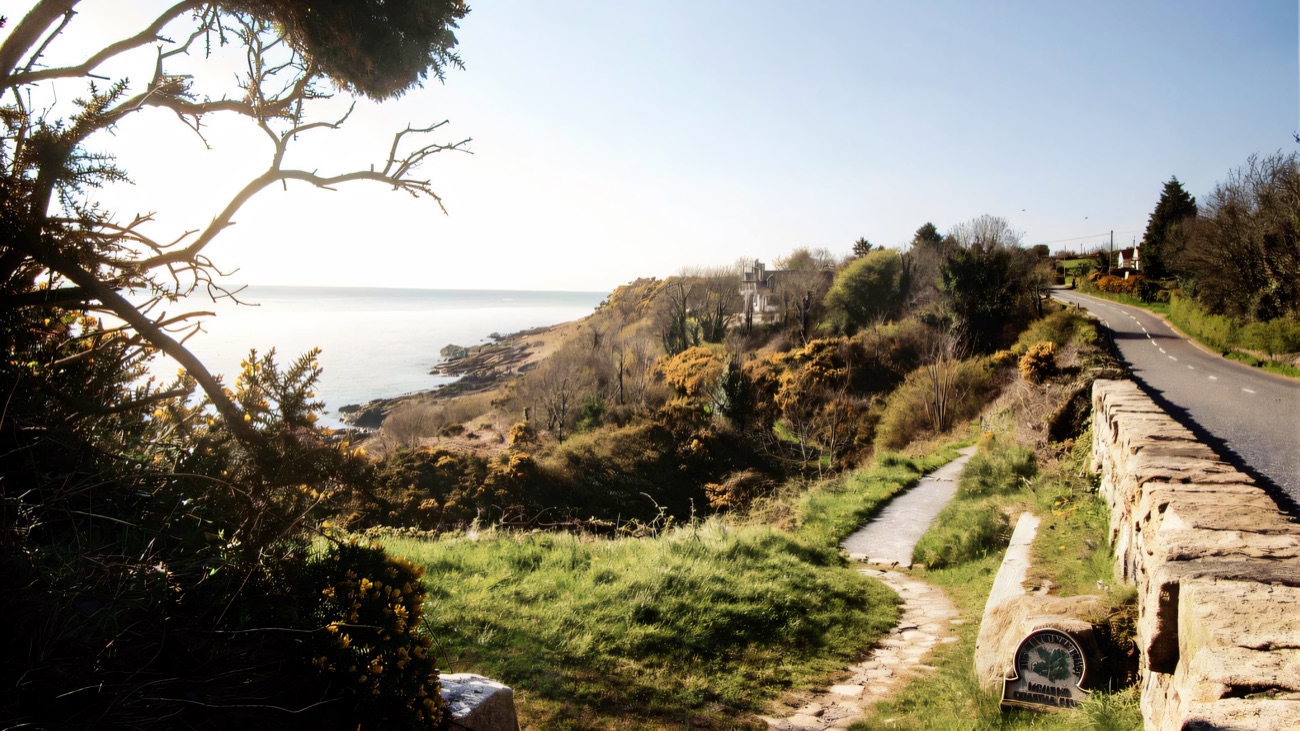 The coastal path threading past gorse above the sea