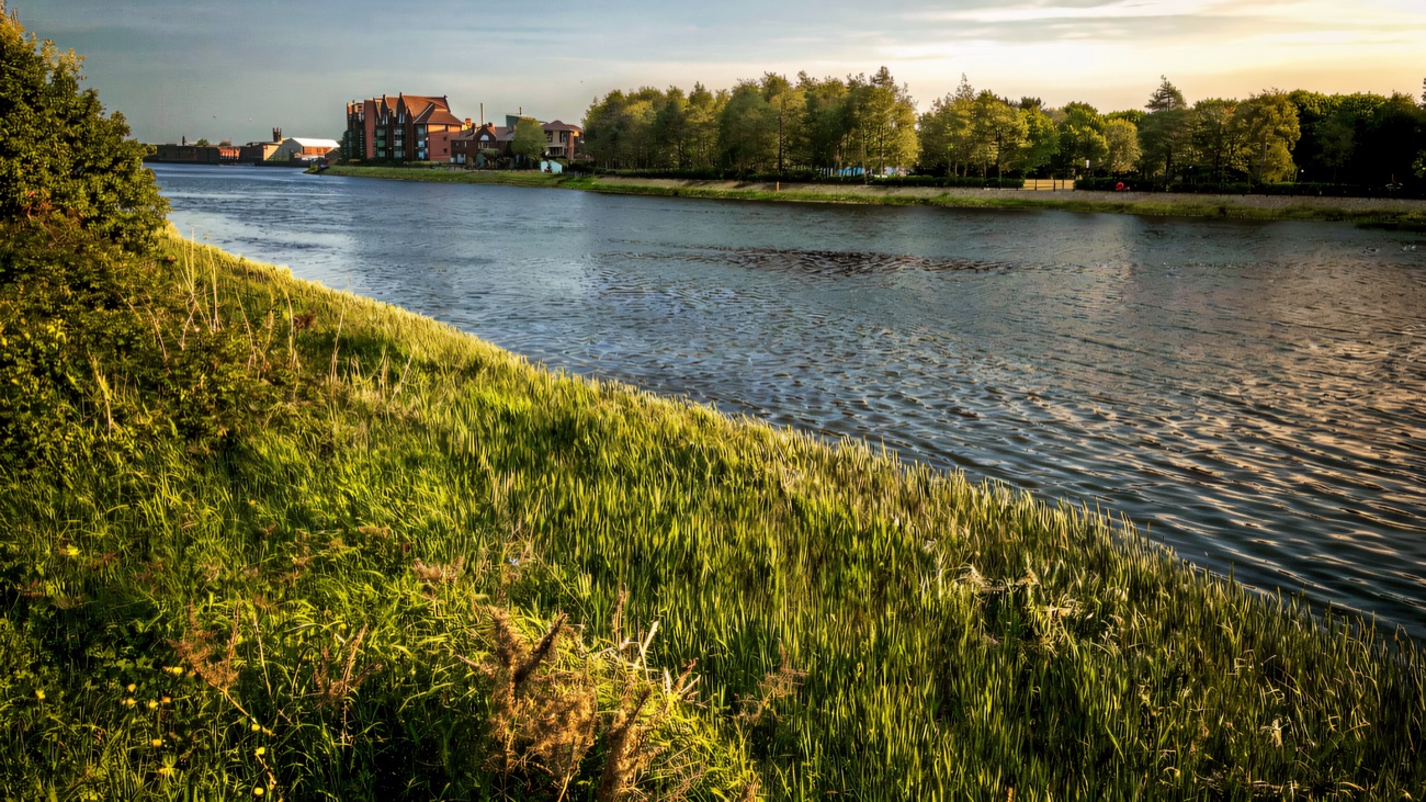 The River Lagan curving past grassy banks along the towpath edge of the meadows.