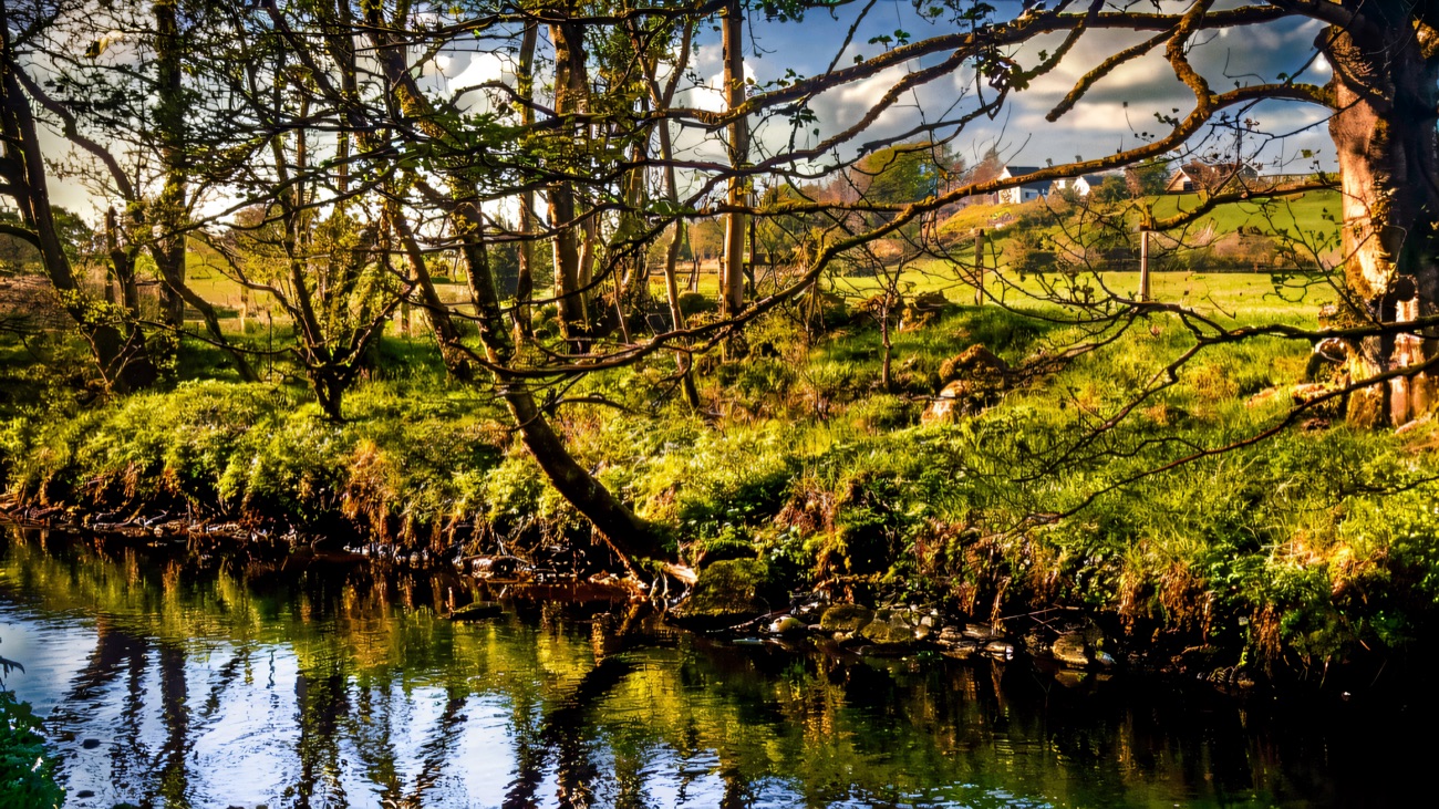 The River Faughan running through green wooded banks in Learmount Forest with the Sperrin hills beyond