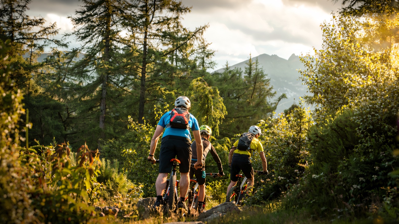 Mountain bikers climbing into the Mournes on a bright forest trail