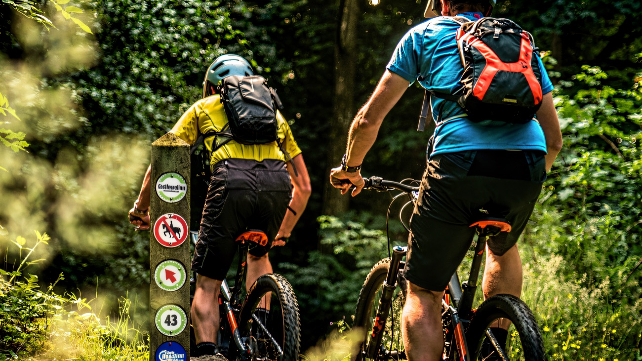 Following the trail markers deeper into the woodland singletrack