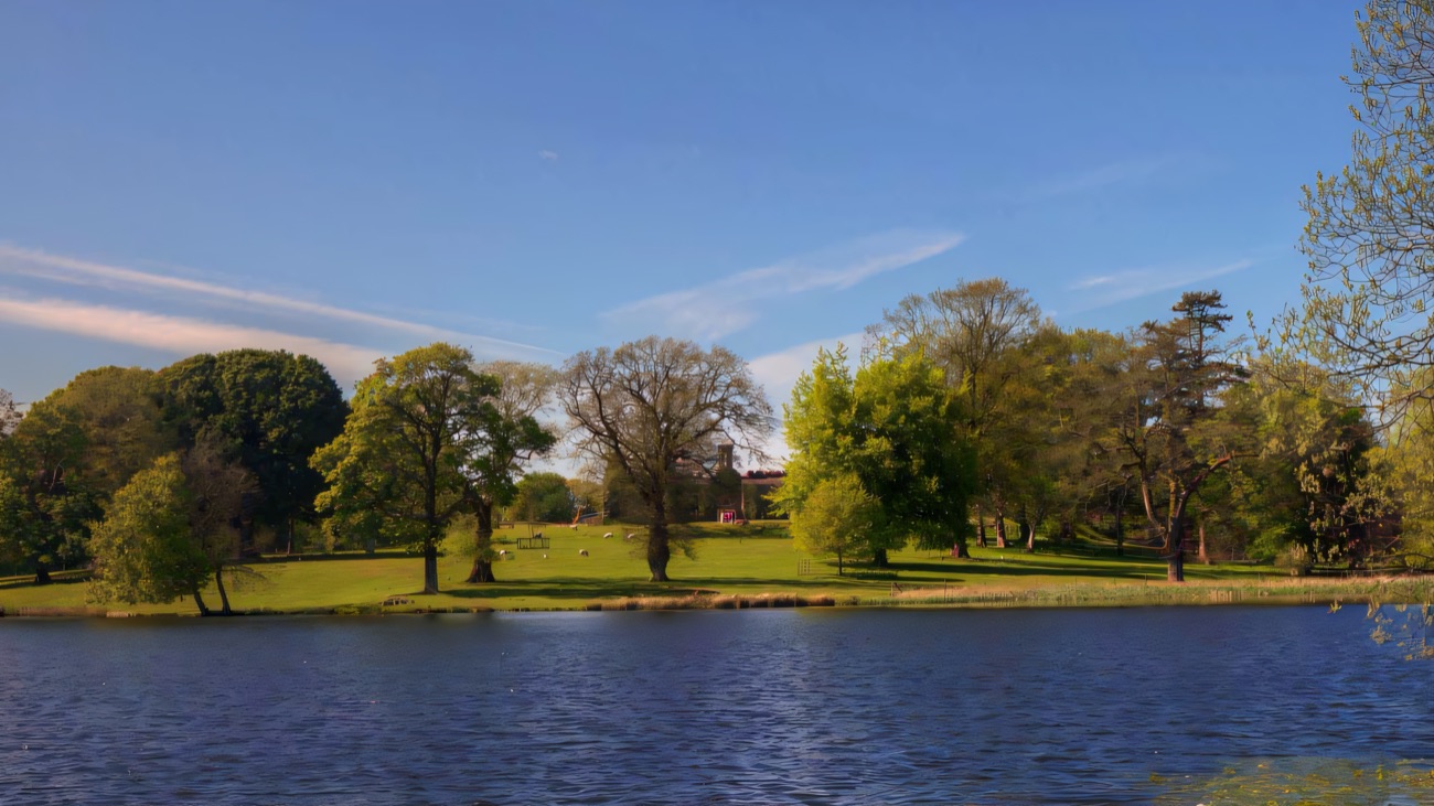 The estate parkland and lake, with mature trees and grazing sheep across the water