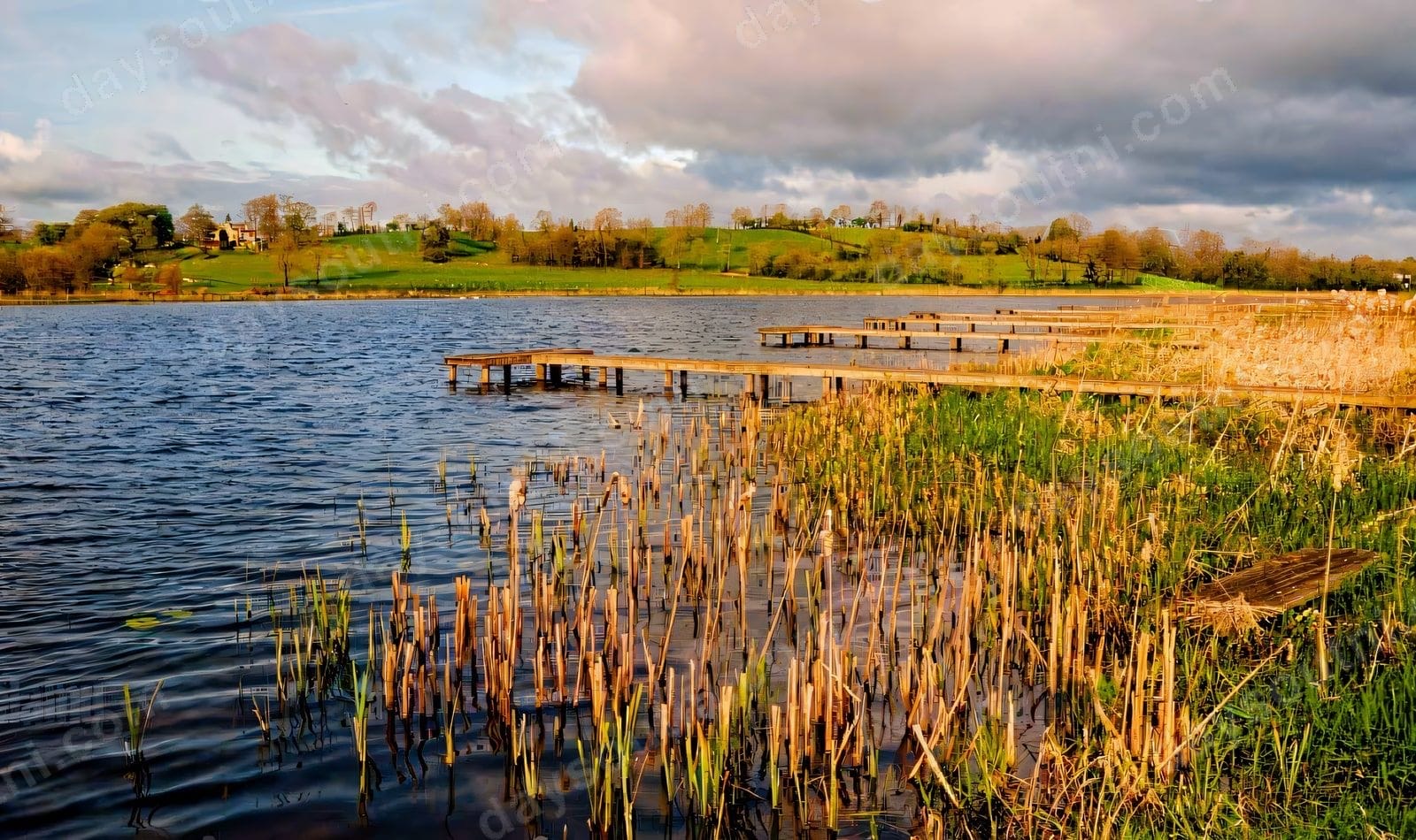 Lough Erne Angling