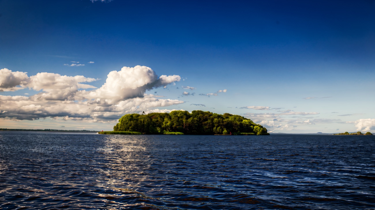 Tree-covered Coney Island sitting out on the open blue water of Lough Neagh.