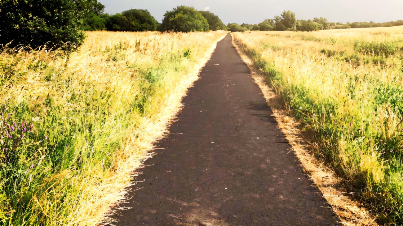 The trail runs straight through summer meadow grass