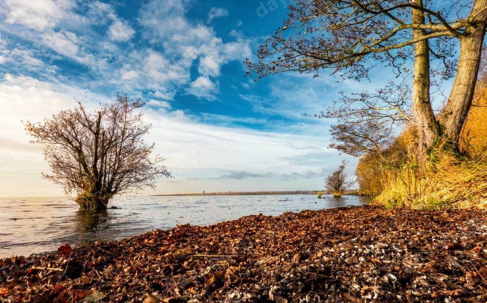 Loughshore Trail (Lough Neagh)