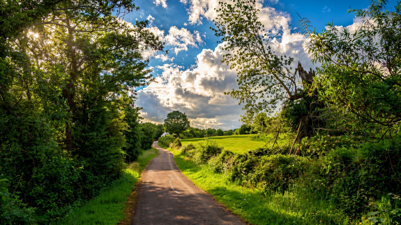 A hedge-lined country lane on the route under a big summer sky