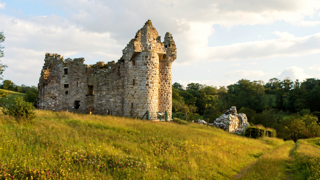 Monea Castle standing in a wildflower meadow with woodland behind and the ruined bawn wall alongside